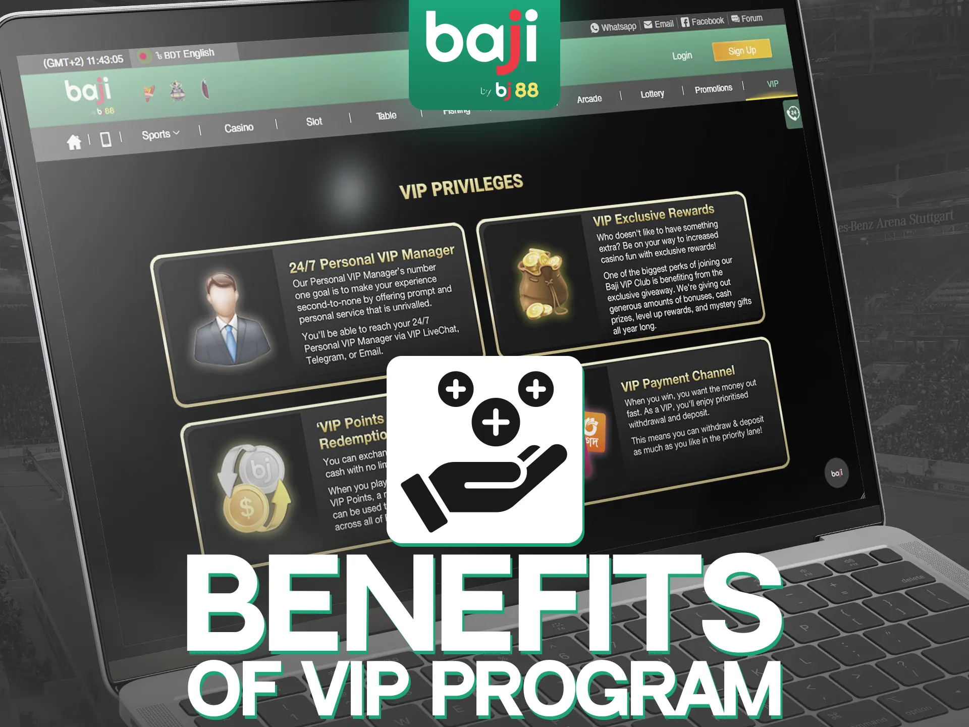 Here are some key benefits of Baji VIP Program.