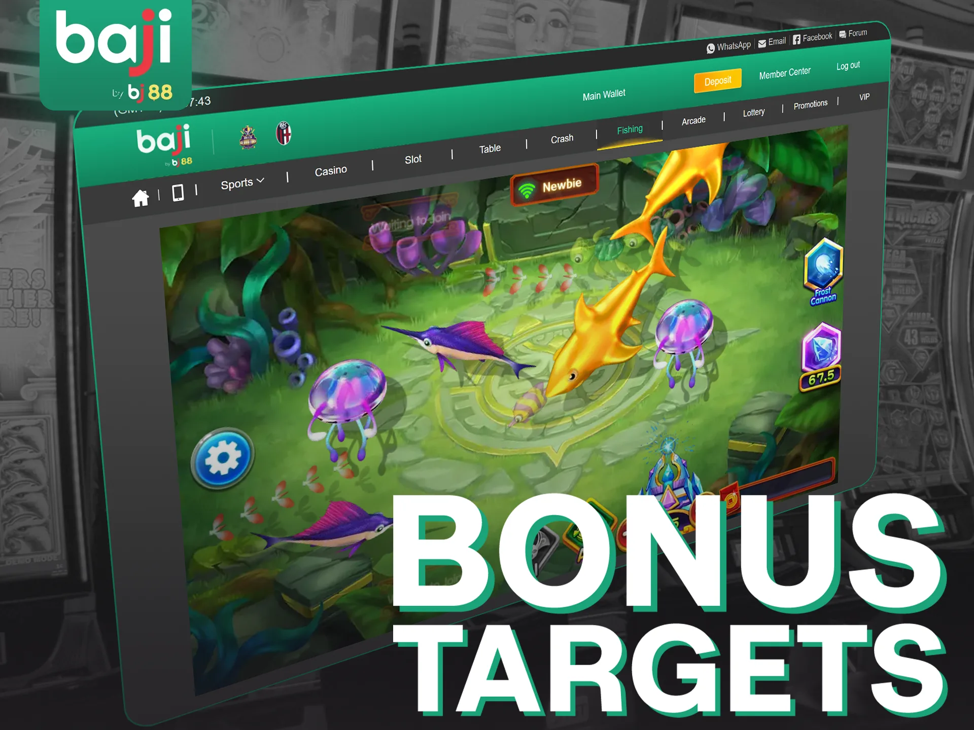 Look for special bonuses while playing at Baji Live.